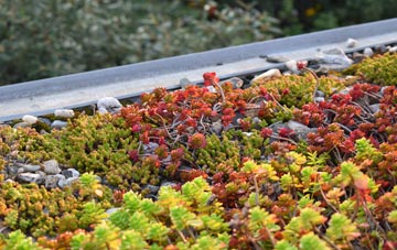 the cost of Mayobridge green roof installation