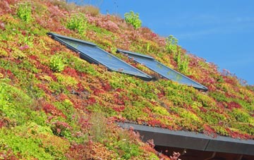Mayobridge living roof systems