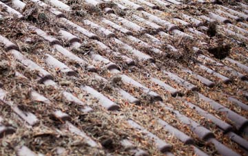 Mayobridge roof cleaning companies