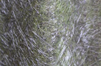 Mayobridge fibreglass roof work